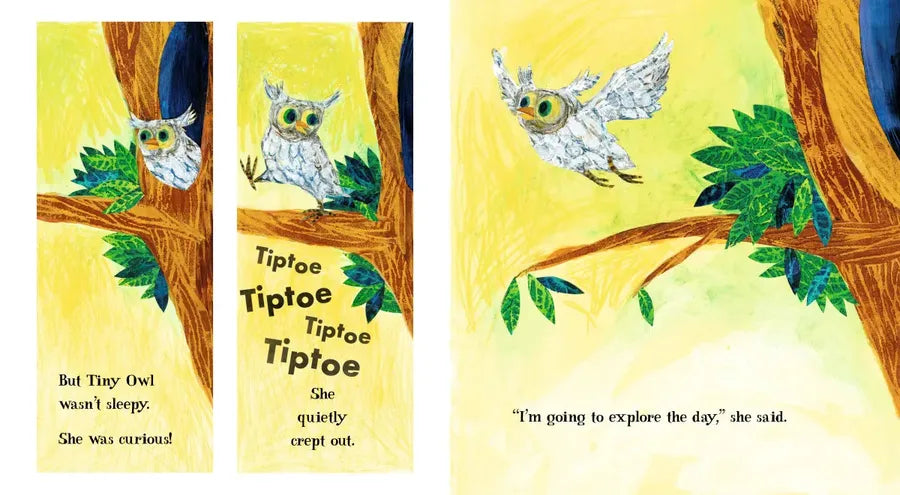 Tiny Owl's Scary Day US - Hardback