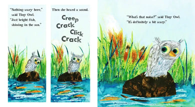 Tiny Owl's Scary Day US - Hardback