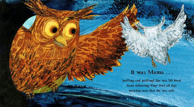 Tiny Owl's Scary Day US - Hardback