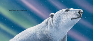 Dasher and the Polar Bear US - Hardback