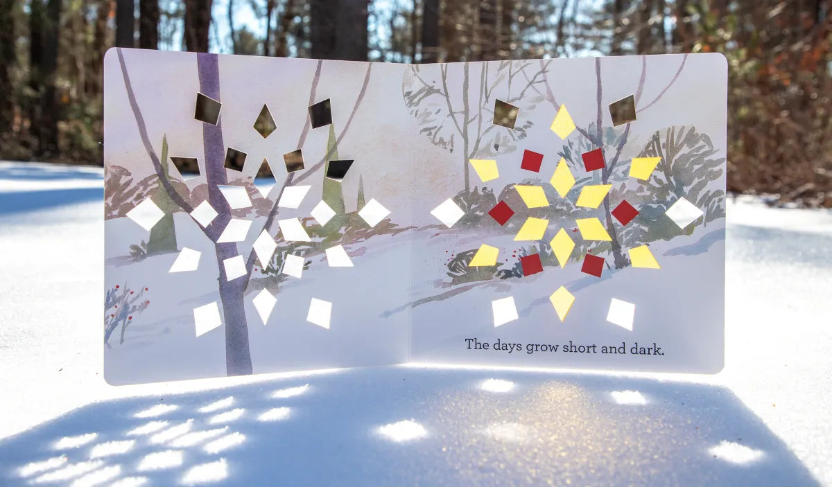 Winter Light US - Board book