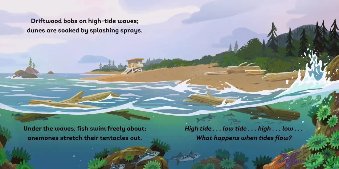 Tide's Journey US - Board book