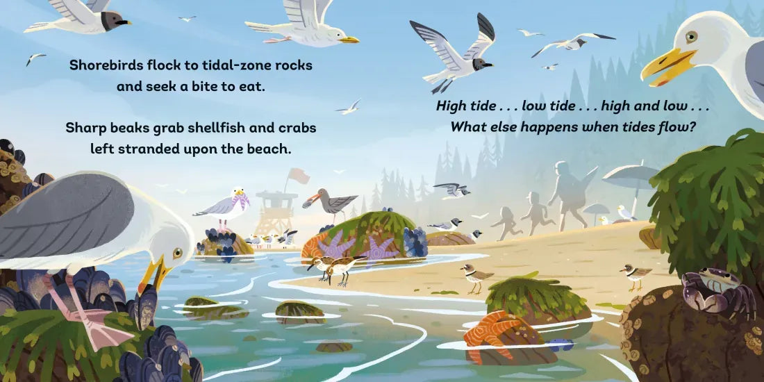 Tide's Journey US - Board book