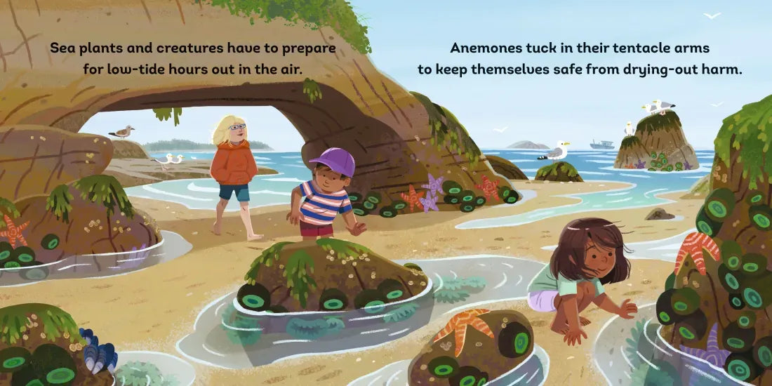 Tide's Journey US - Board book