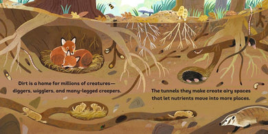 Dirt's Journey US - Board book