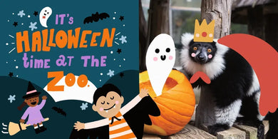 Halloween at the Zoo US - Board book