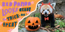 Halloween at the Zoo US - Board book