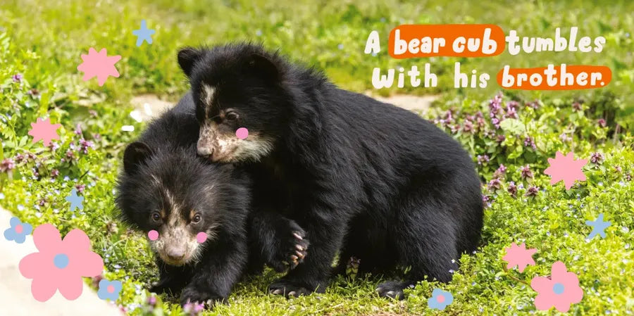 Babies at the Zoo US - Board book
