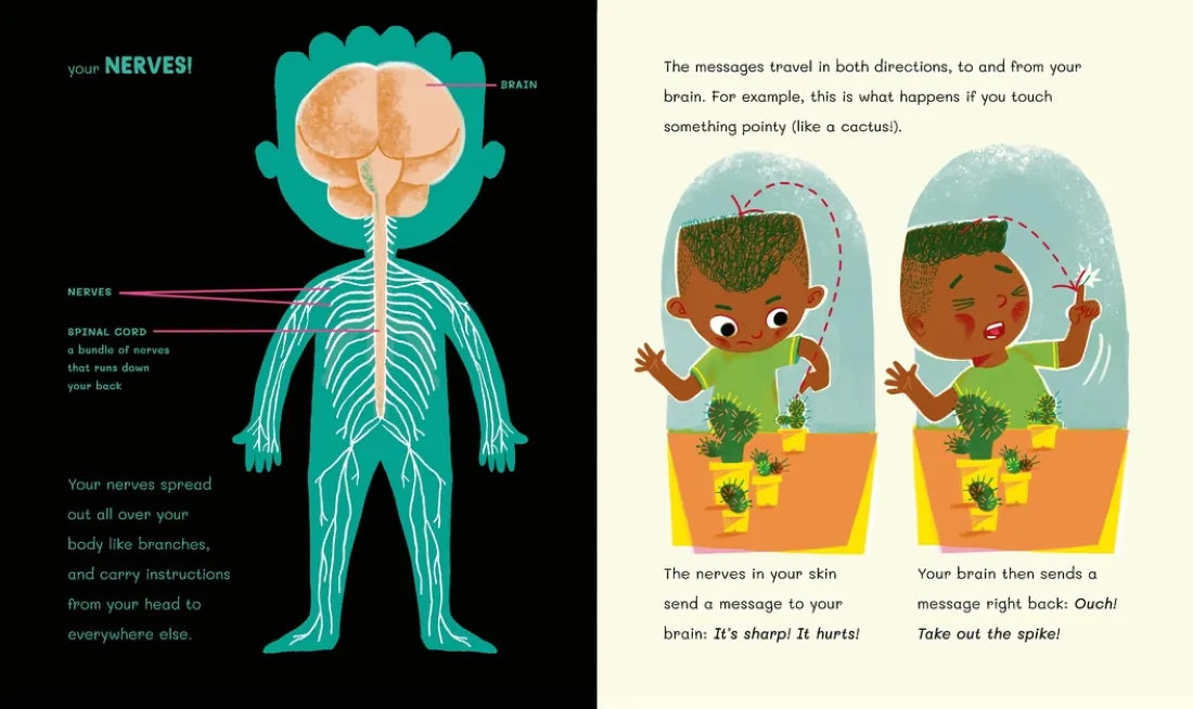 The Brilliant Brain: How It Works and How to Look After It US - Hardback
