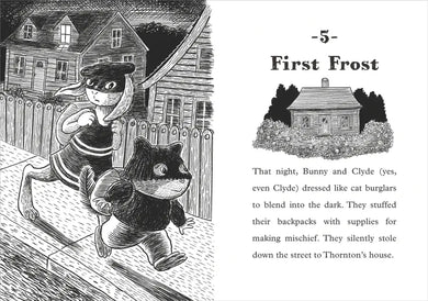 Bunny and Clyde US - Paperback / softback