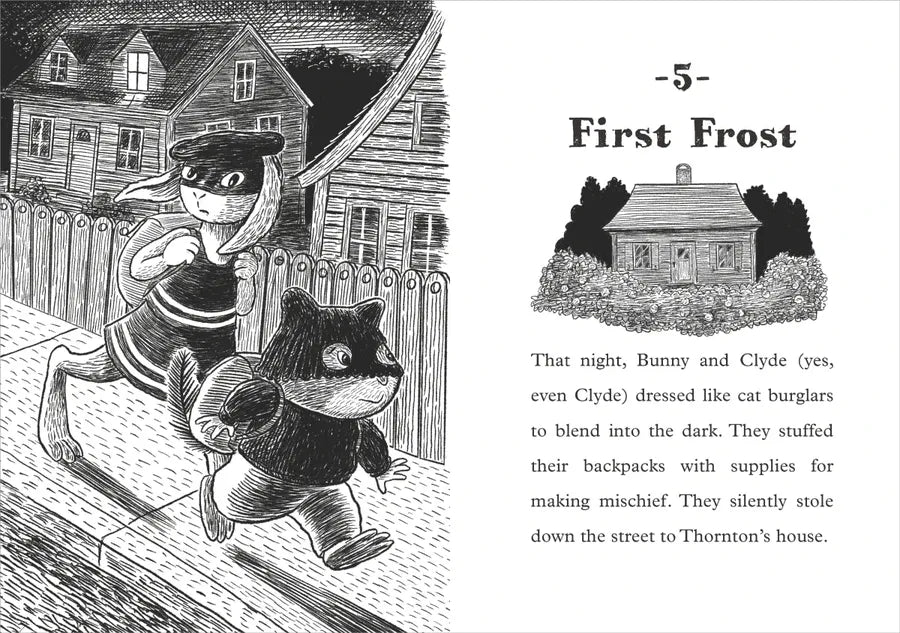 Bunny and Clyde US - Paperback / softback