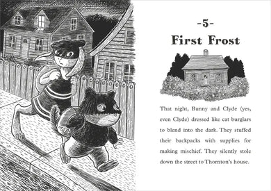 Bunny and Clyde US - Hardback