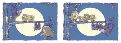 Owl Bat Bat Owl US - Paperback / softback