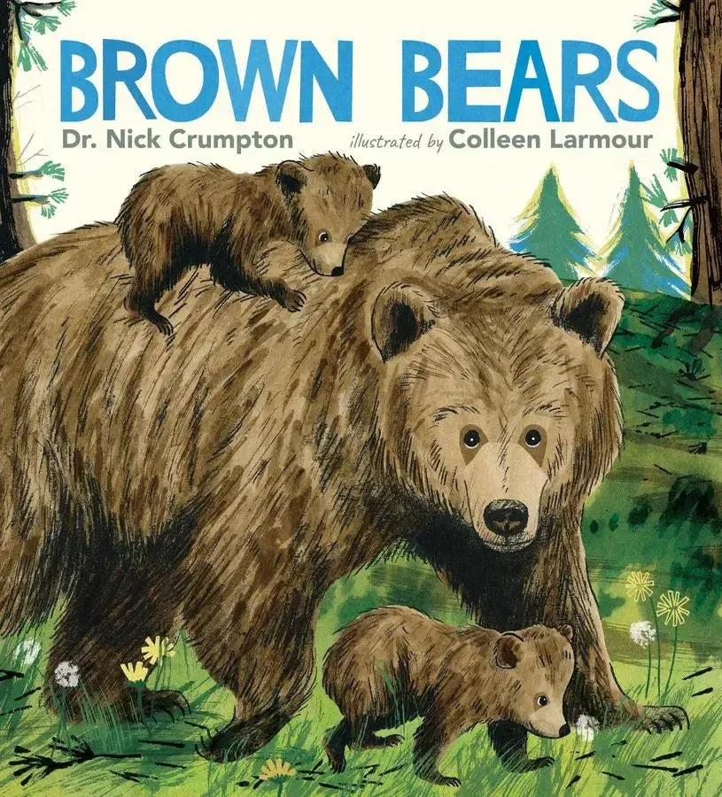 Brown Bears-Children’s / Teenage general interest: Nature and animals-買書書 BuyBookBook