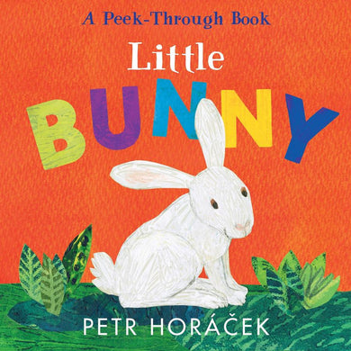 Little Bunny-Children’s / Teenage fiction: Nature and animal stories-買書書 BuyBookBook