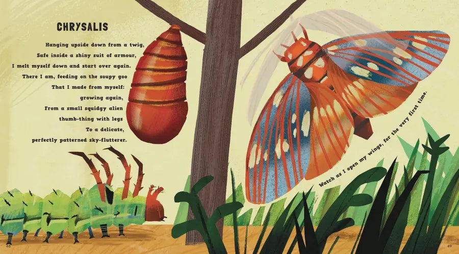 Wriggle and Buzz: My First Book of Bugs US - Hardback