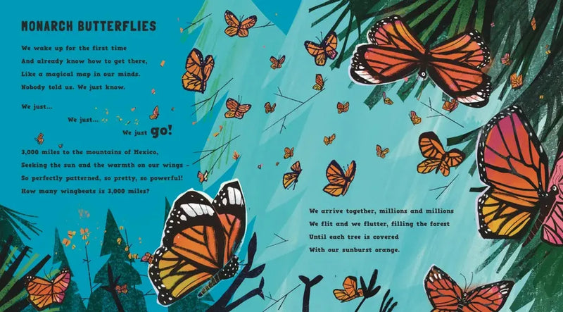 Wriggle and Buzz: My First Book of Bugs US - Hardback
