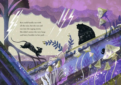 A Voice in the Storm US - Hardback