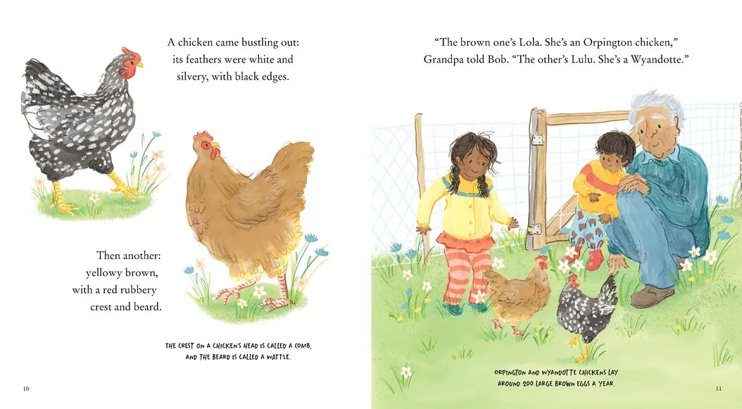 Chick, Chick, Chick, Chick, Chicken! US - Hardback
