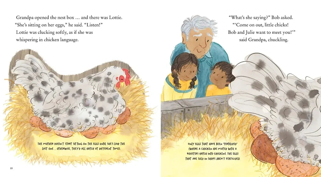 Chick, Chick, Chick, Chick, Chicken! US - Hardback