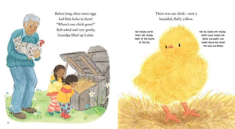 Chick, Chick, Chick, Chick, Chicken! US - Hardback