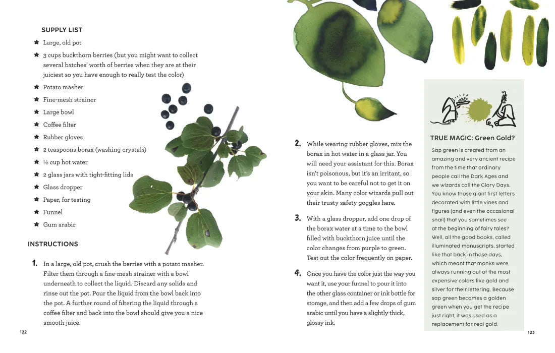 How to Be a Color Wizard: Forage and Experiment with Natural Art Making US - Paperback / softback
