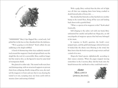 Magicalia: Thief of Shadows US - Hardback