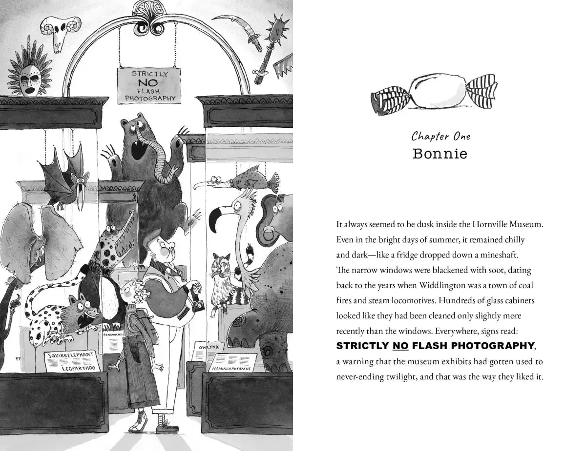 Montgomery Bonbon: Murder at the Museum US - Hardback