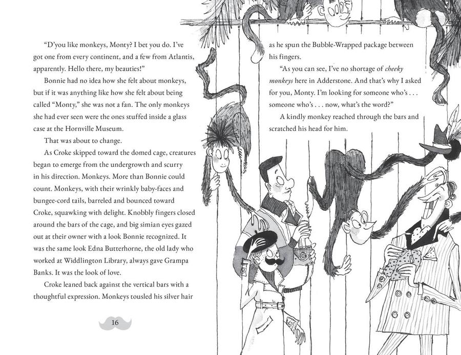 Montgomery Bonbon: Mystery at the Manor US - Hardback