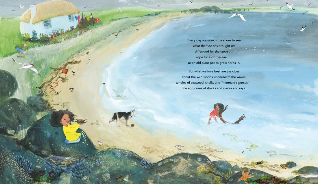 One Ocean: A Journey Beneath the Waves US - Hardback