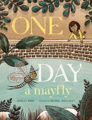 One Day a Mayfly-Children’s / Teenage fiction: General and modern fiction-買書書 BuyBookBook