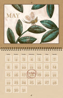 One Day a Mayfly US - Hardback