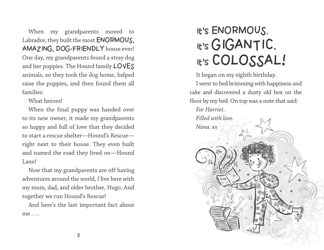 Harriet Hound GB - Paperback / softback