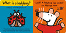Maisy Loves Ladybugs: A Maisy's Planet Book US - Board book