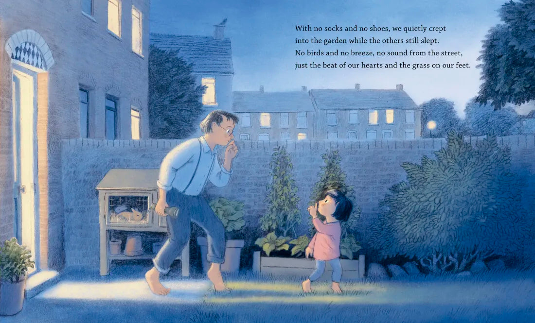 The Night of the Hedgehog US - Hardback