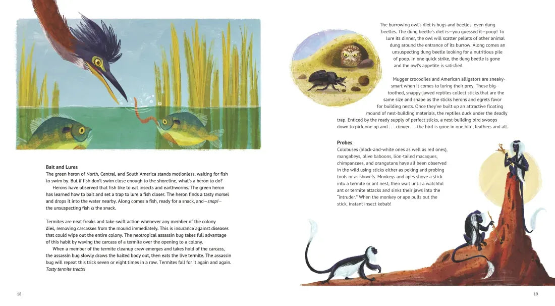 Orangutan Hats and Other Tools Animals Use US - Paperback / softback