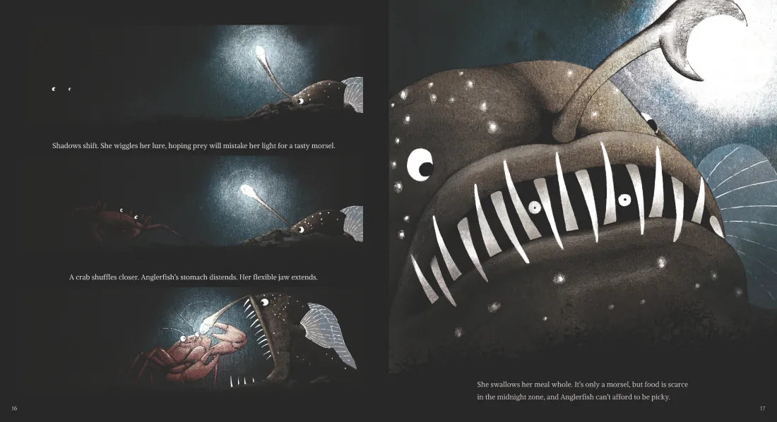 Anglerfish: The Seadevil of the Deep US - Hardback