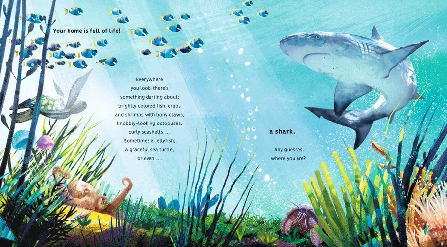Creatures of the Coral Reef US - Hardback