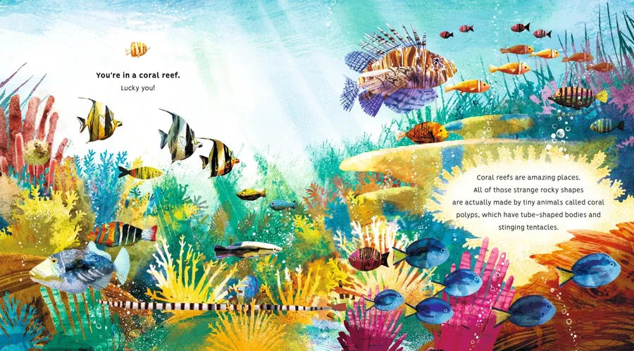 Creatures of the Coral Reef US - Hardback