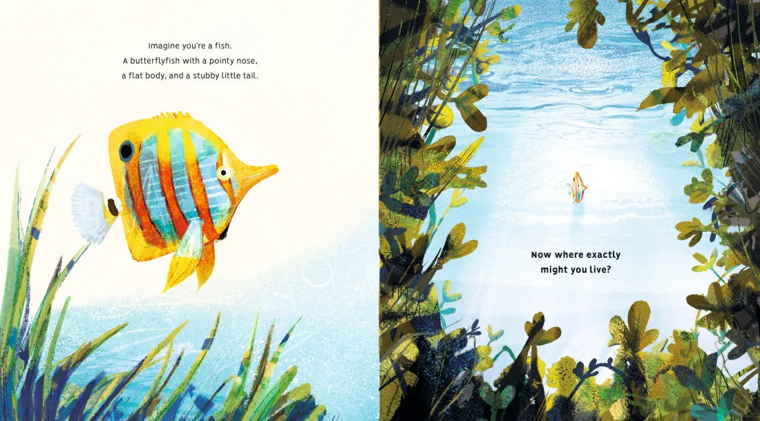 Creatures of the Coral Reef US - Hardback