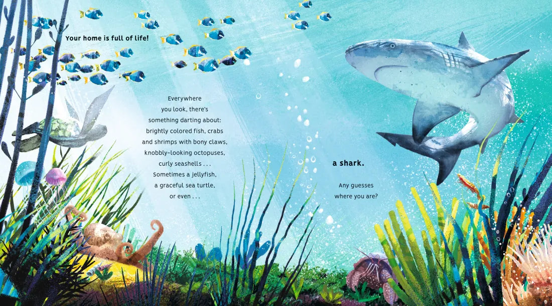 Creatures of the Coral Reef US - Hardback