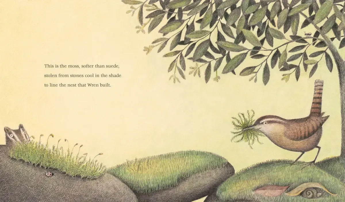 The Nest That Wren Built US - Paperback / softback