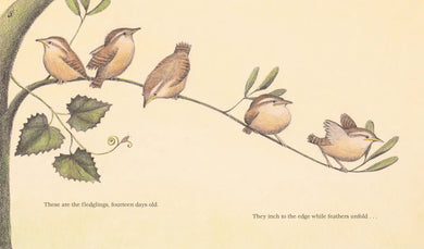The Nest That Wren Built US - Paperback / softback