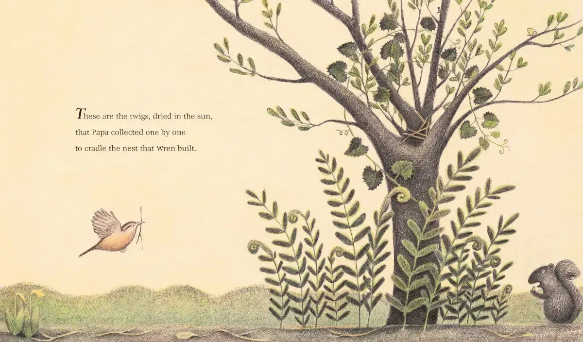 The Nest That Wren Built US - Paperback / softback