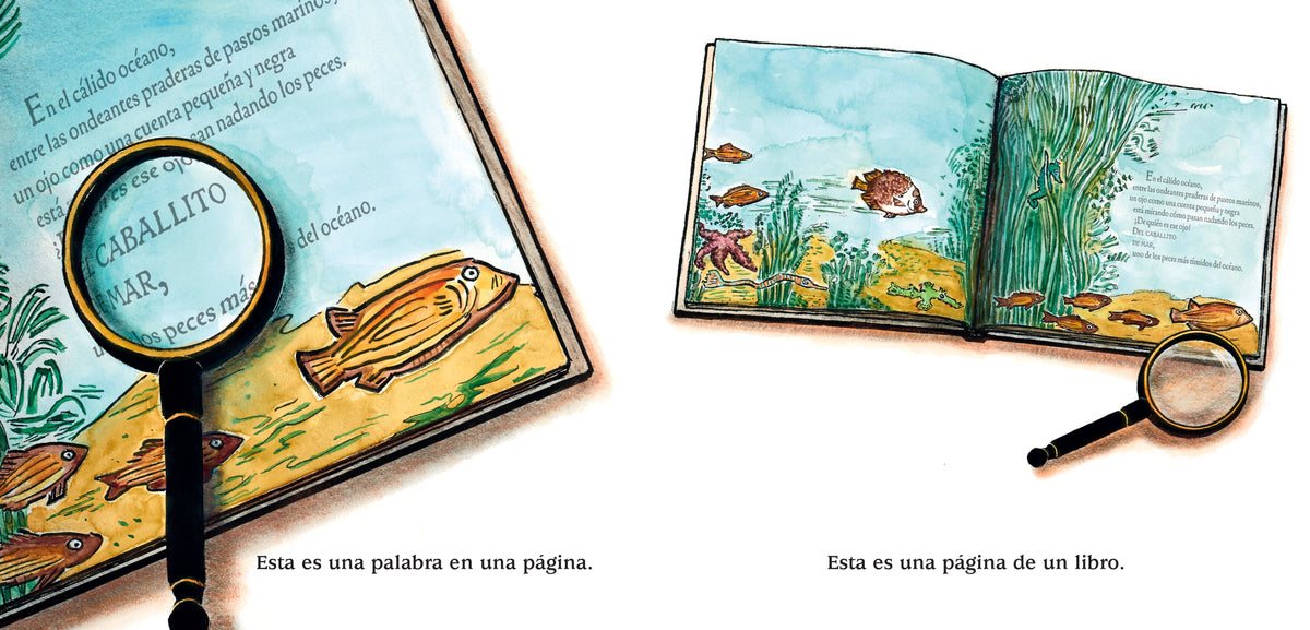 Este es un cuento interior 1 (ISBN 9781536250640)