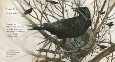 Clever Crow US - Paperback / softback