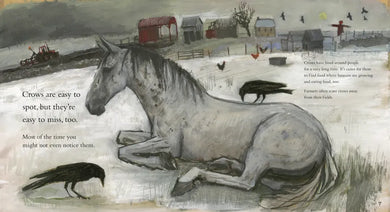 Clever Crow US - Paperback / softback