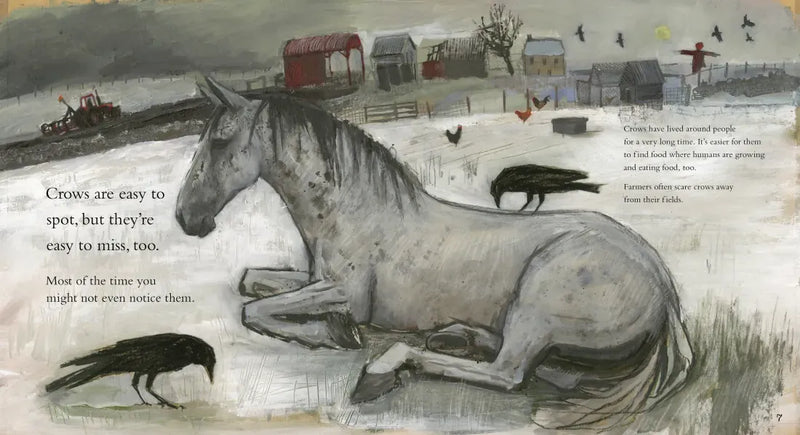 Clever Crow US - Paperback / softback