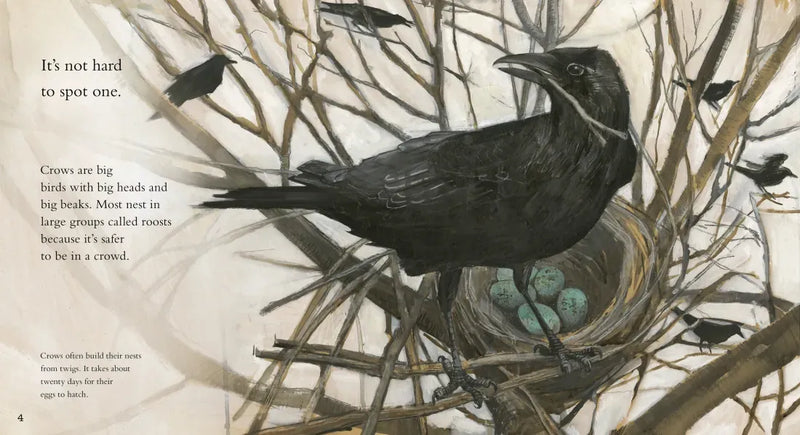 Clever Crow US - Paperback / softback