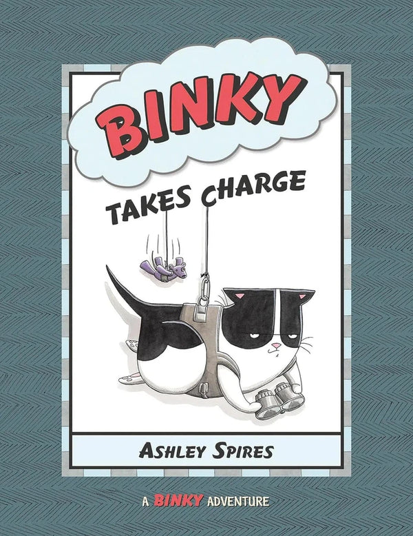 A Binky Adventure #04 Binky Takes Charge (Ashley Spires)